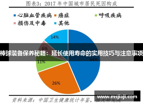 棒球装备保养秘籍：延长使用寿命的实用技巧与注意事项