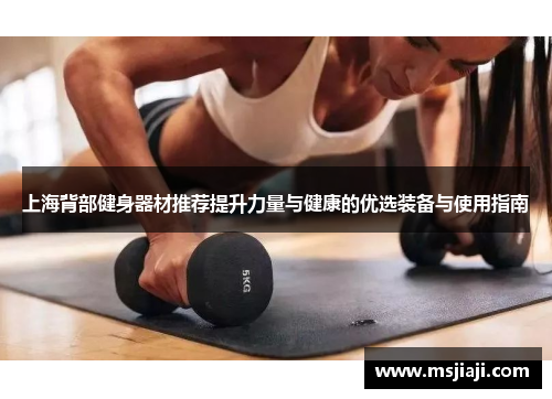 上海背部健身器材推荐提升力量与健康的优选装备与使用指南