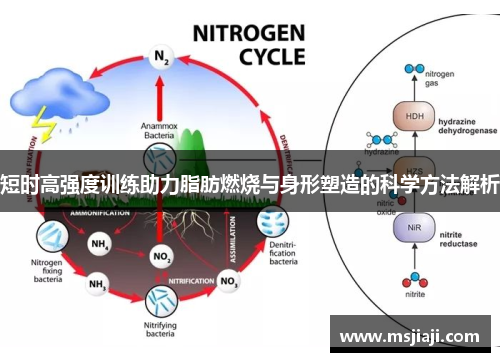 短时高强度训练助力脂肪燃烧与身形塑造的科学方法解析