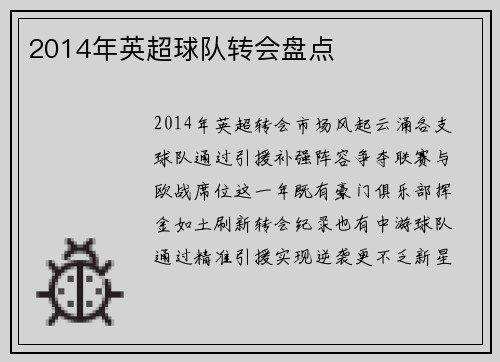 2014年英超球队转会盘点